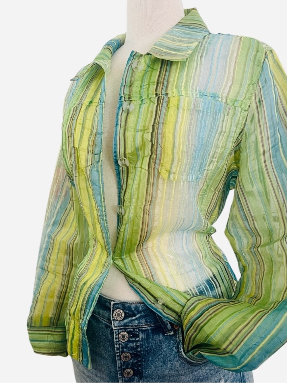 ERIN LONDON Green and Blue Striped Button-Down SHEER jacket